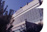 Horário e onde assistir ao vivo New England Patriots x New York Jets, pela NFL