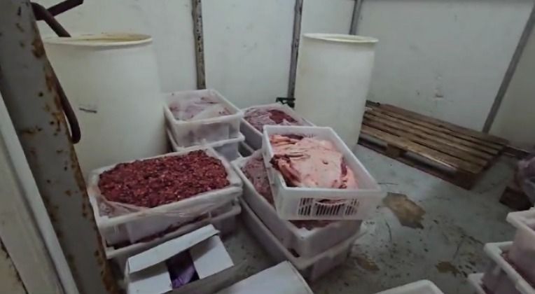 Polícia Civil fecha frigorífico com 38 kg de carne estragada em SP