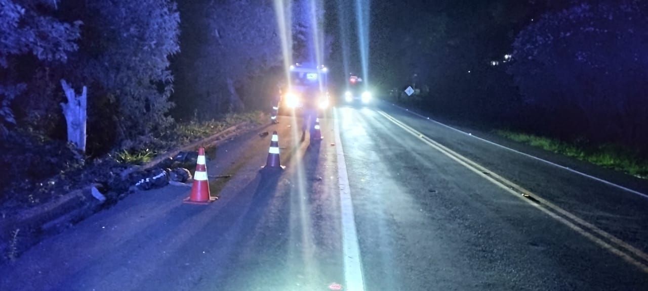 Pedestre é atropelado na BR-459