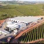 Paraguaçu recebe nova planta da NetZero para produção de biochar
