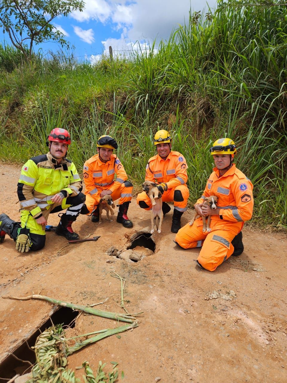 Bombeiros resgatam três filhotes de cães presos em manilha em Andradas