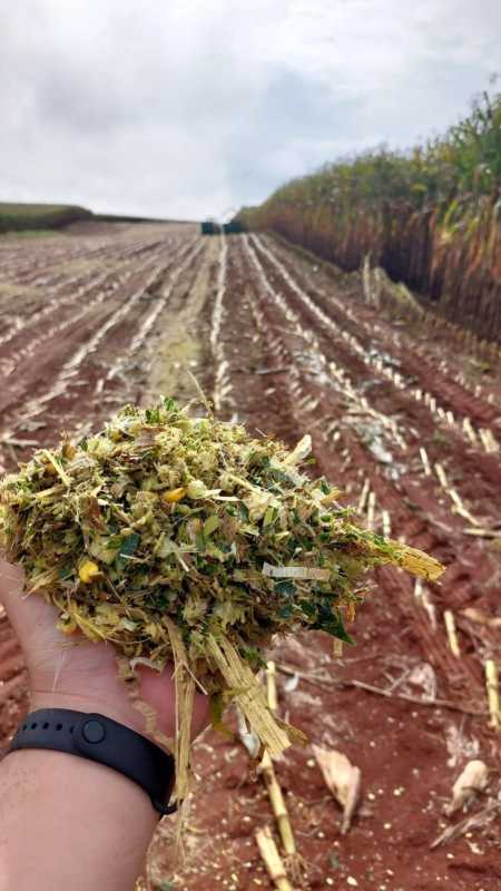 Projeto é financiado pela FAPEMIG e reforça como a ciência produzida na UFLA ajuda diretamente na economia e na saúde da nossa região.