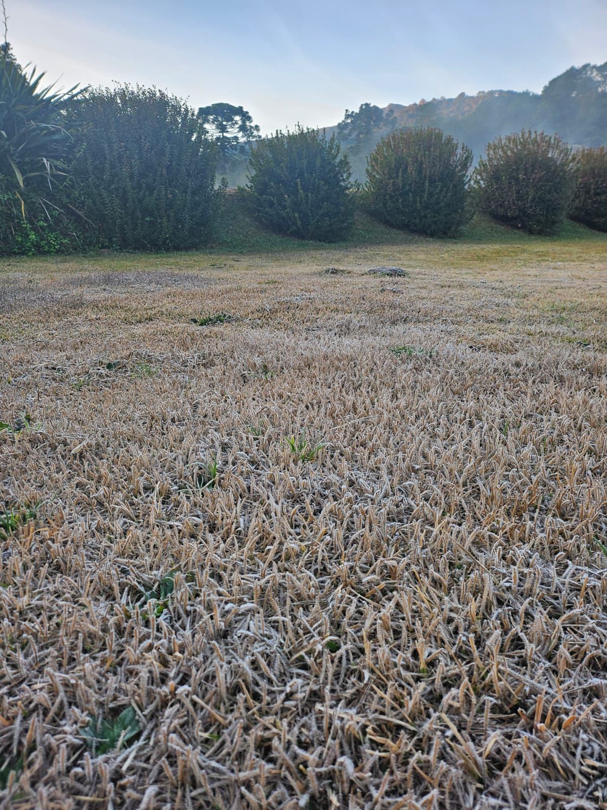 Monte Verde amanhece com geada no Sul de Minas