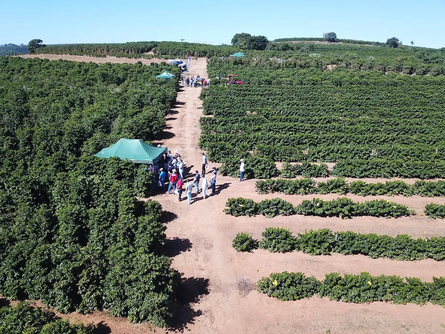 Três Pontas recebe evento focado no setor agro nesta semana