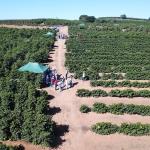 Três Pontas recebe evento focado no setor agro nesta semana