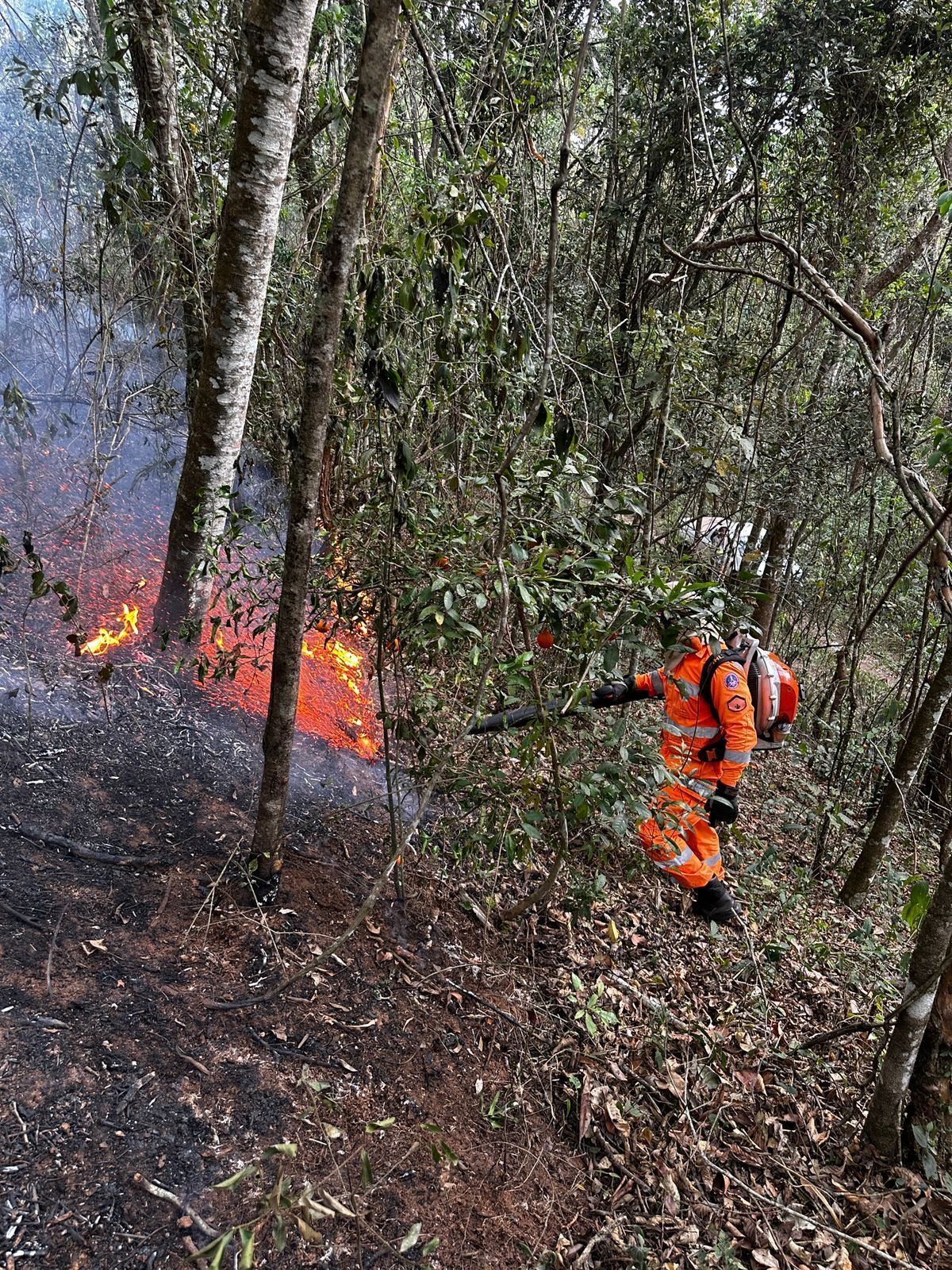 Bombeiros entram no quarto dia de combate a incêndio entre São Lourenço e Pouso Alto