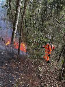 Bombeiros e voluntários seguem no combate a incêndio no Sul de Minas.