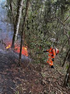 Bombeiros e voluntários seguem no combate a incêndio no Sul de Minas.
