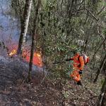 Bombeiros entram no quarto dia de combate a incêndio entre São Lourenço e Pouso Alto