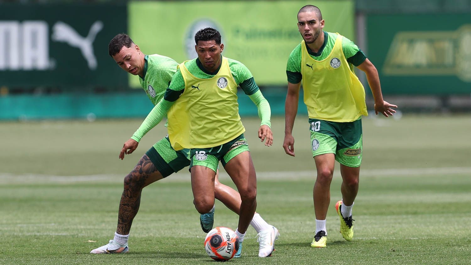 Palmeiras toma decisão sobre usar jogadores da Copinha no Paulistão