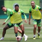 Palmeiras toma decisão sobre usar jogadores da Copinha no Paulistão