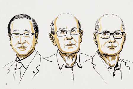 Susumu Kitagawa, Richard Robson e Omar M. Yaghi venceram o Prêmio Nobel de Química