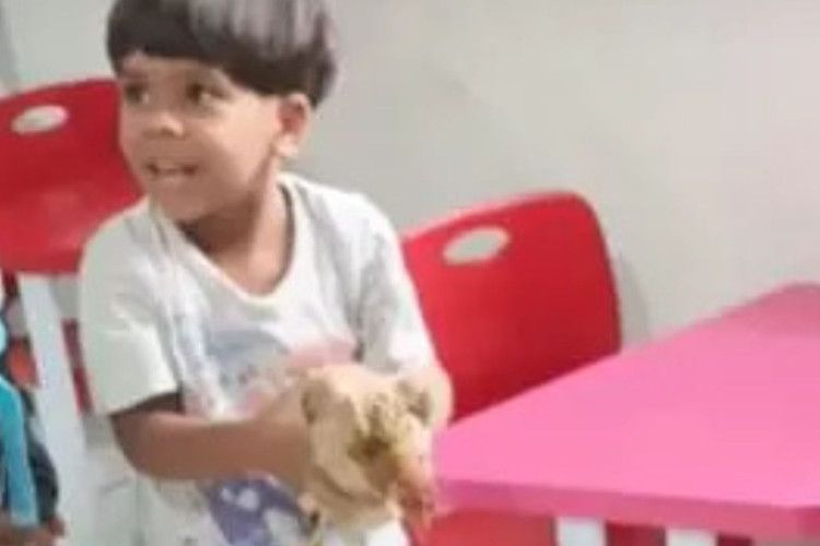 Criança viraliza ao levar galinha de estimação escondida na mochila para a escola
