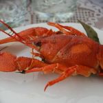 Turista se recusa a pagar conta de restaurante de R$4,7 mil e chama a polícia