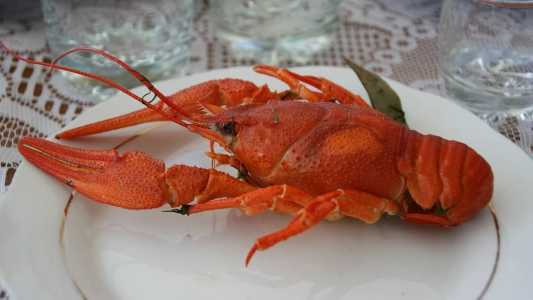100 gramas do carangueijo são cerca de R$95