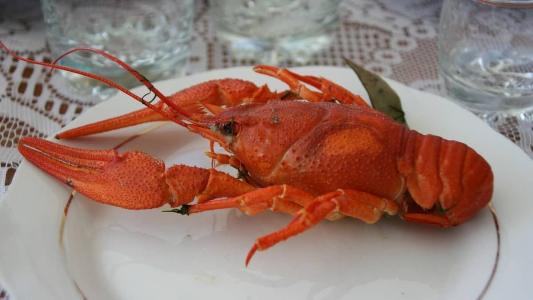 100 gramas do carangueijo são cerca de R$95