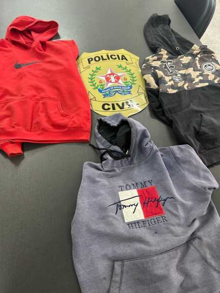 Investigação começou após o registro de quatro furtos e contou com o apoio da Agência de Inteligência da Polícia Civil.