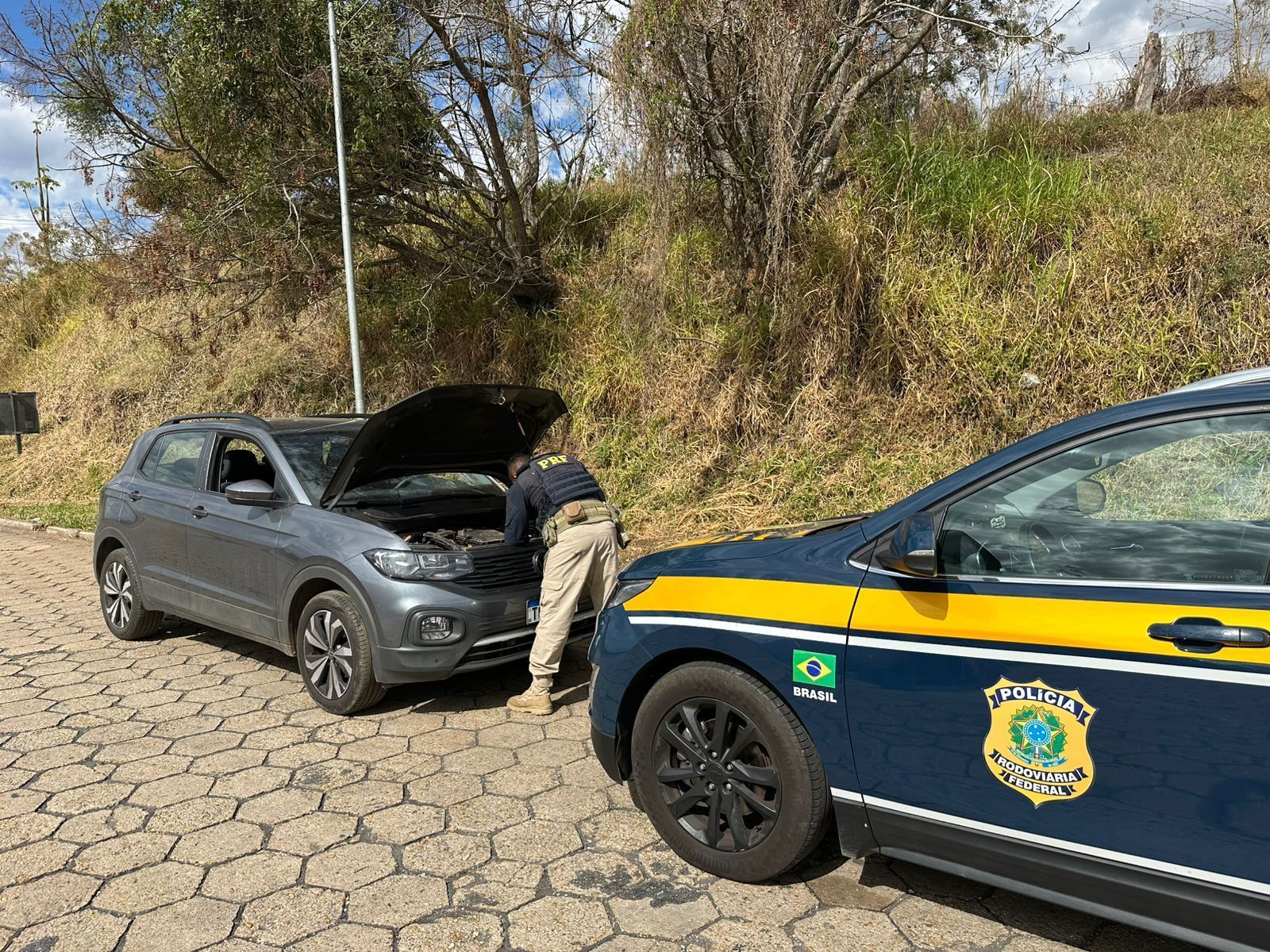 Motorista de caminhão-cegonha é preso com carro clonado