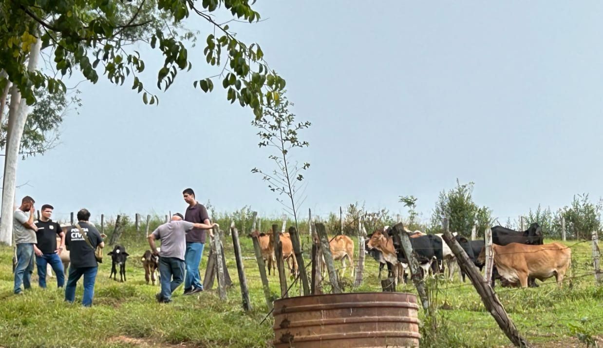 Polícia recupera rebanho bovino furtado de fazenda