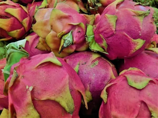 Cidades do Sul de Minas recebem eventos voltados à produção de frutas