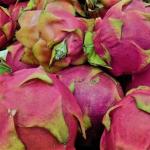 Cidades do Sul de Minas recebem eventos voltados à produção de frutas