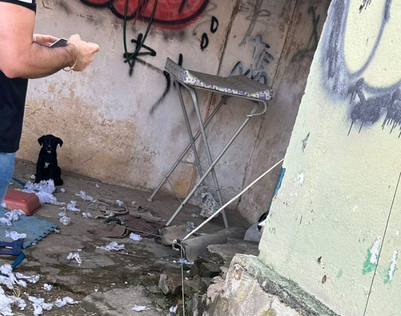 Homem é preso por suspeita de maus-tratos contra cães no Sul de Minas