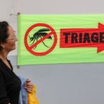 Brasil ultrapassa marca de 500 mil casos de dengue em 2024