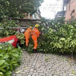 Situação de Emergência é decretada em Leopoldina após forte chuva e vendaval