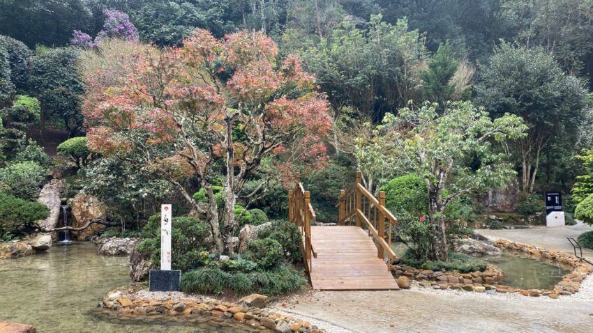 Recanto Japonês será reinaugurado na próxima semana