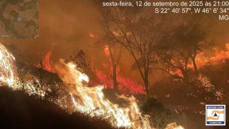 Chamas consumiram cinco hectares de mata fechada e exigiram técnicas especiais de combate.
