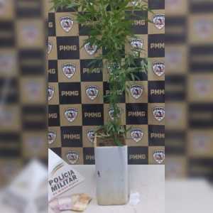 Policiais também apreenderam R$ 80 em dinheiro.