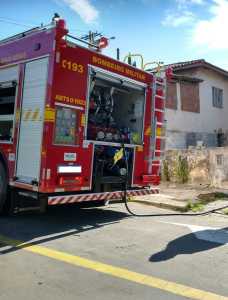 Eles auxiliaram na retirada manual de cerca de 50 toneladas de madeira atingida, que foram carregadas em caminhões e transportadas para um local seguro, distante da área de risco.