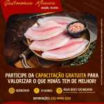 1ª Confraria da Gastronomia Mineira tem edição especial com tilápia