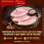 1ª Confraria da Gastronomia Mineira tem edição especial com tilápia