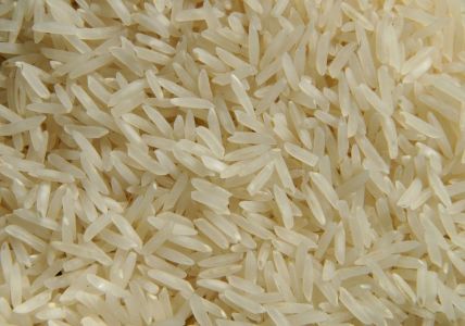1 milhão de toneladas: o que sabemos sobre a importação de arroz pelo governo Lula | CNN Brasil