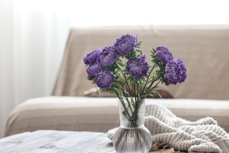 lavanda
