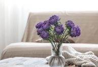 5 plantas aromáticas que ajudam a afastar insetos e deixar a casa mais fresca de forma natural