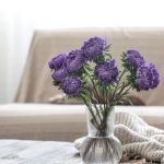 5 plantas aromáticas que ajudam a afastar insetos e deixar a casa mais fresca de forma natural
