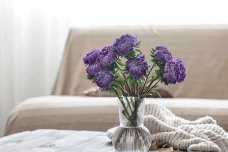 lavanda