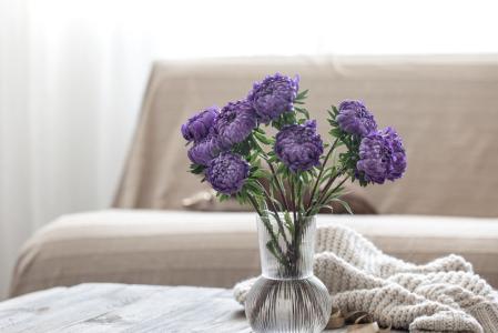 lavanda
