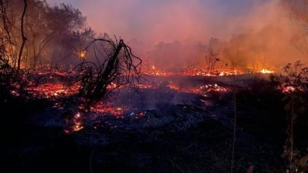 Ministério reconhece “alta probabilidade“ de queimadas no Pantanal similares a 2020 | CNN Brasil