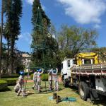 Poços de Caldas inicia montagem da decoração natalina