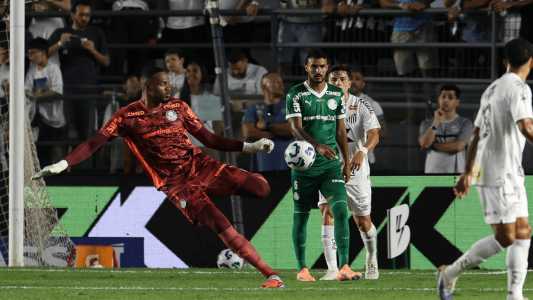 Carlos Miguel, goleiro do Palmeiras, em jogo contra o Santos