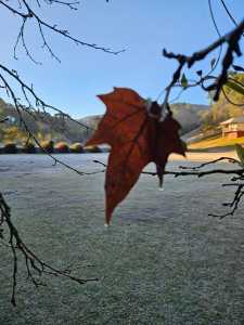 Monte Verde registrou geada nesta terça e quarta-feira (16).