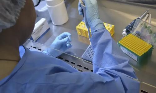 Mulher manipula ampolas em laboratório químico