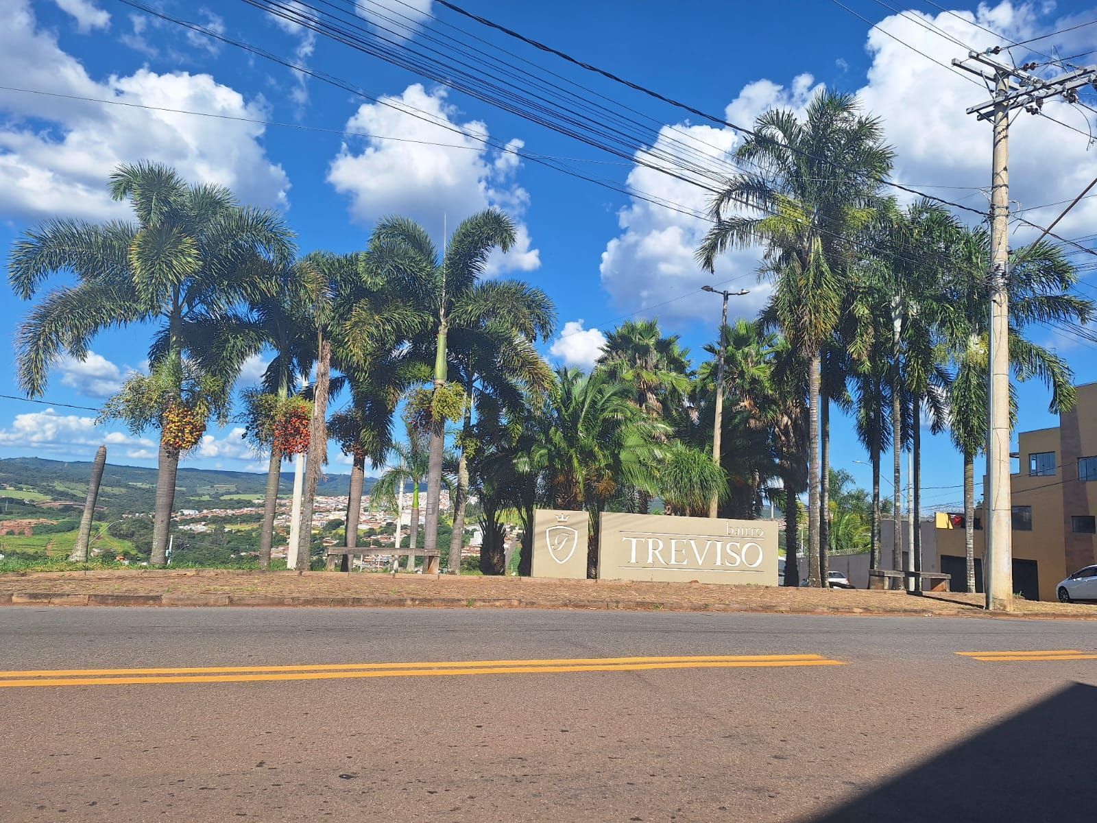 Macaco é encontrado morto em bairro de Varginha