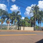 Macaco é encontrado morto em bairro de Varginha