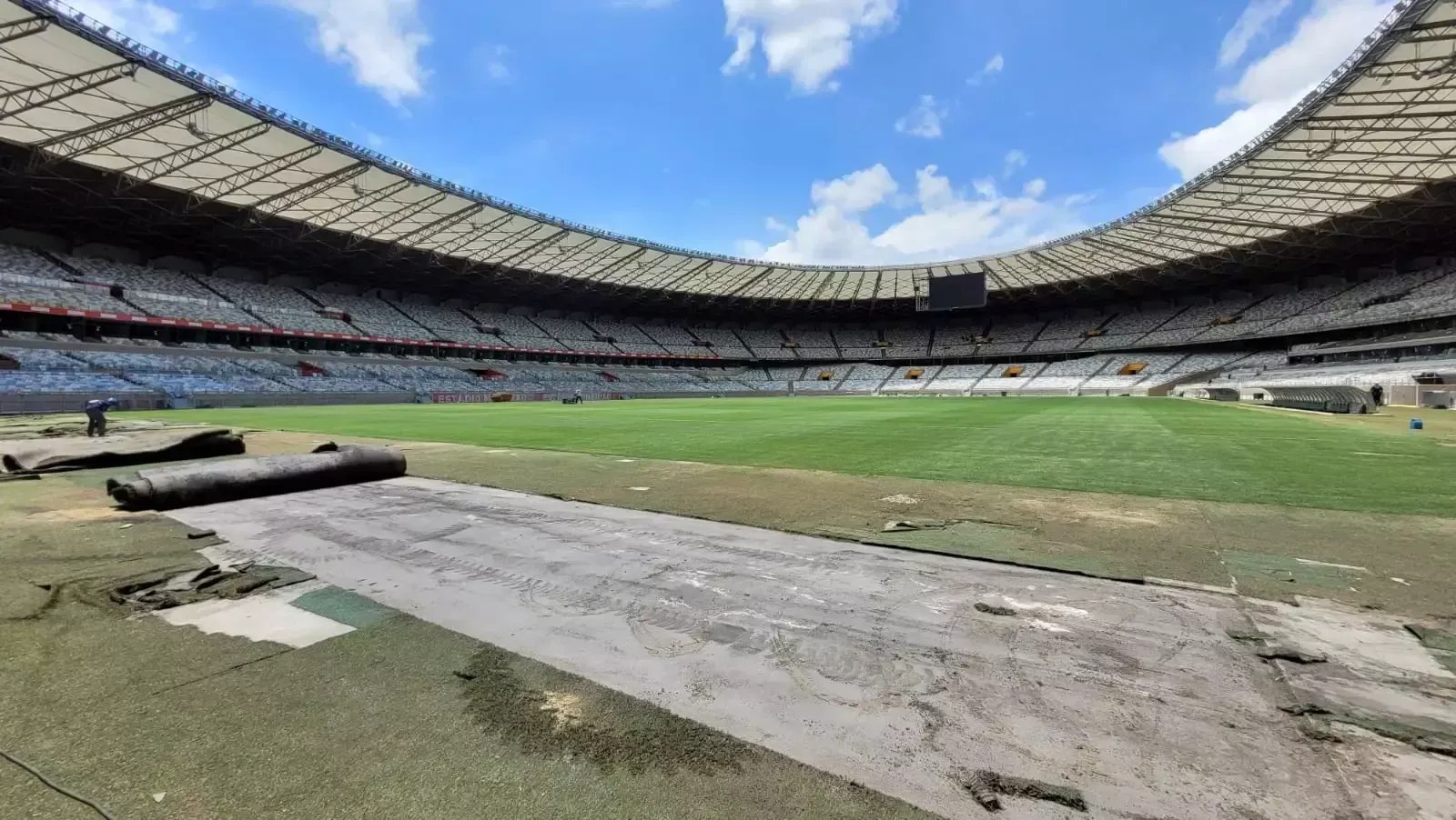 Palmeiras define posição sobre jogo sem torcida contra o Cruzeiro