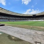 Palmeiras define posição sobre jogo sem torcida contra o Cruzeiro