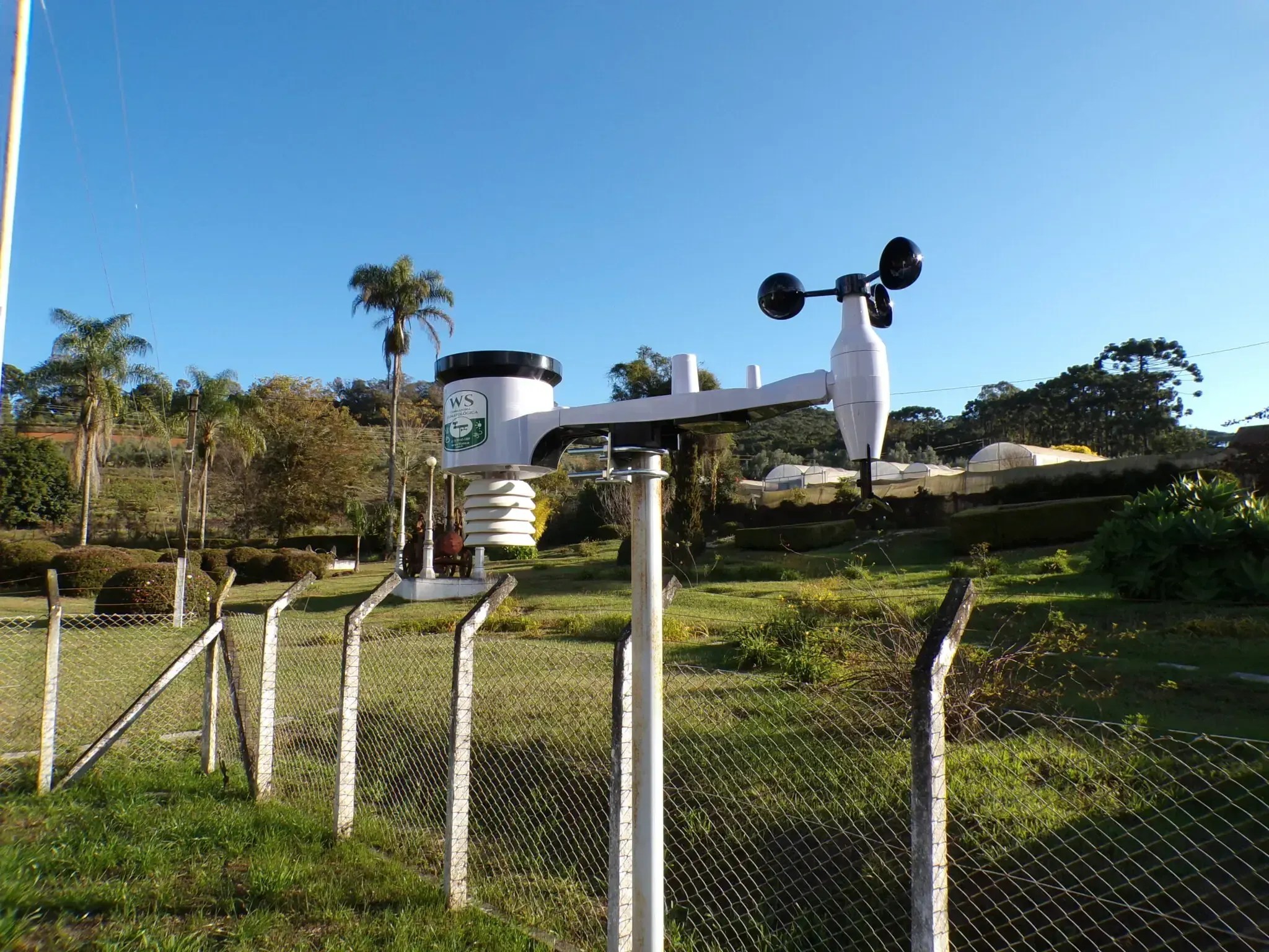 Cidade na Serra da Mantiqueira passa a monitorar clima em tempo real para pesquisa sobre oliveiras
